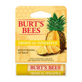 Tropical Pineapple Moisturizing Lip Balm With Beeswax