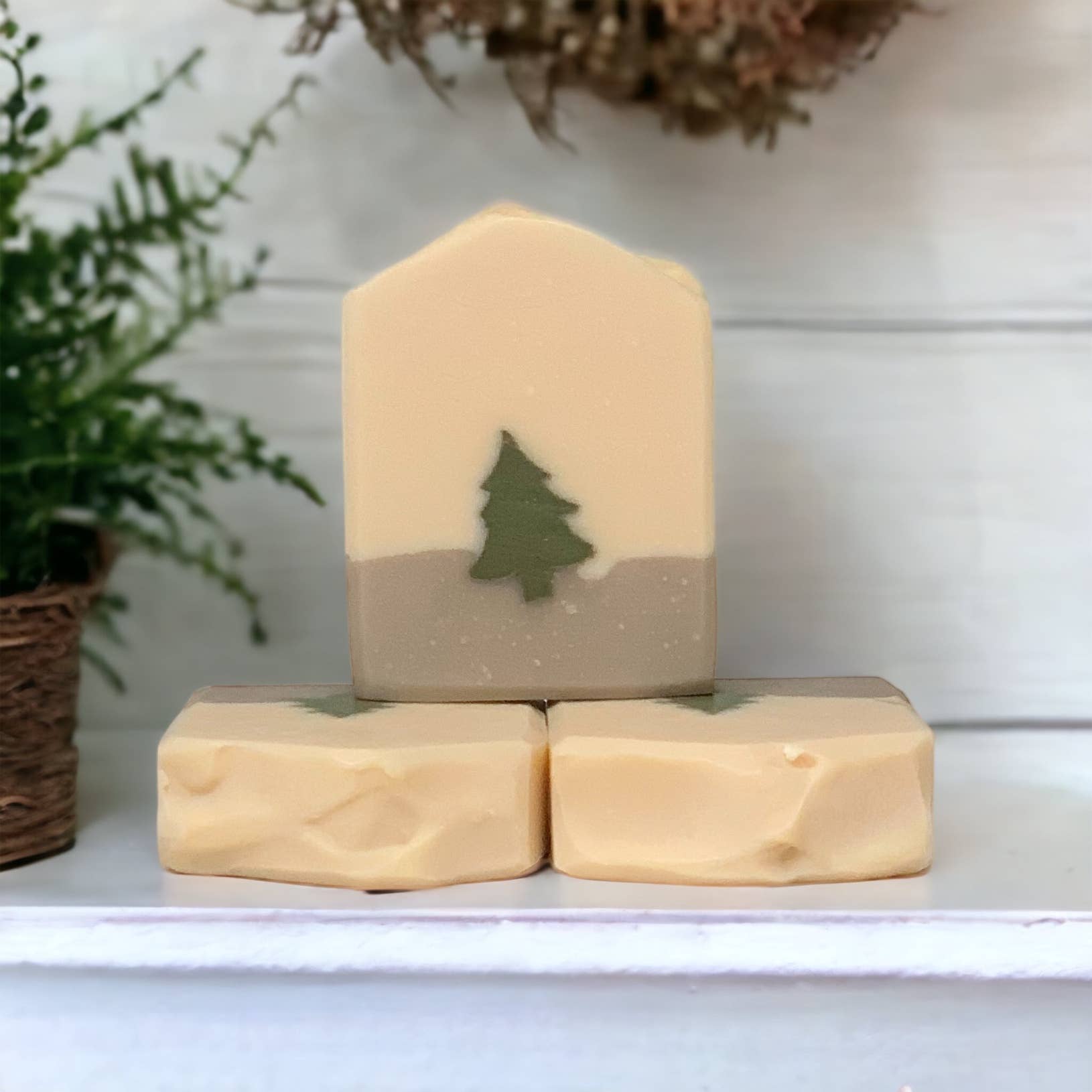 Pine Berry Soap | Winter Evergreen | Handmade Cold Process