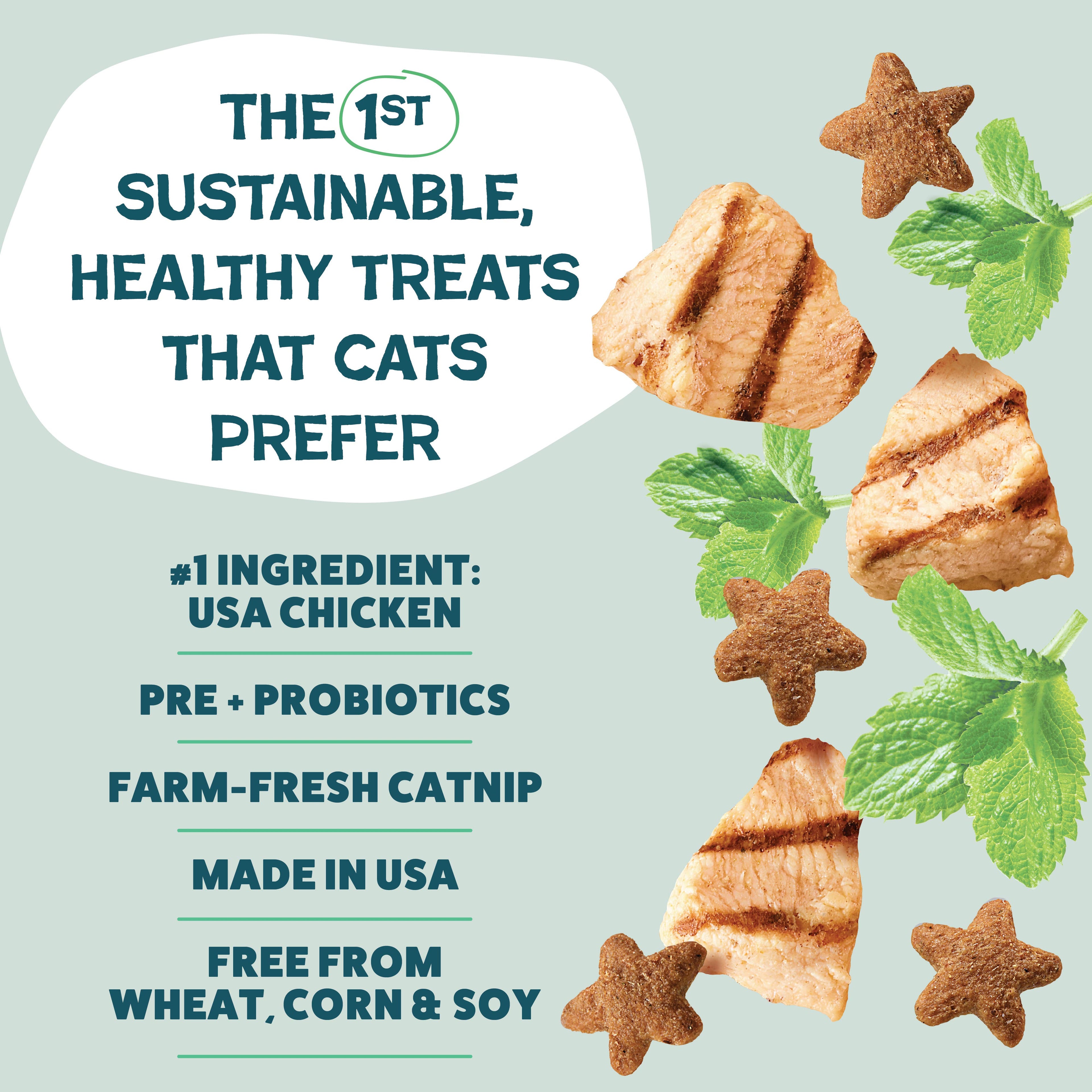 Catnip N Chill Crunchy Cat Treats - Chicken