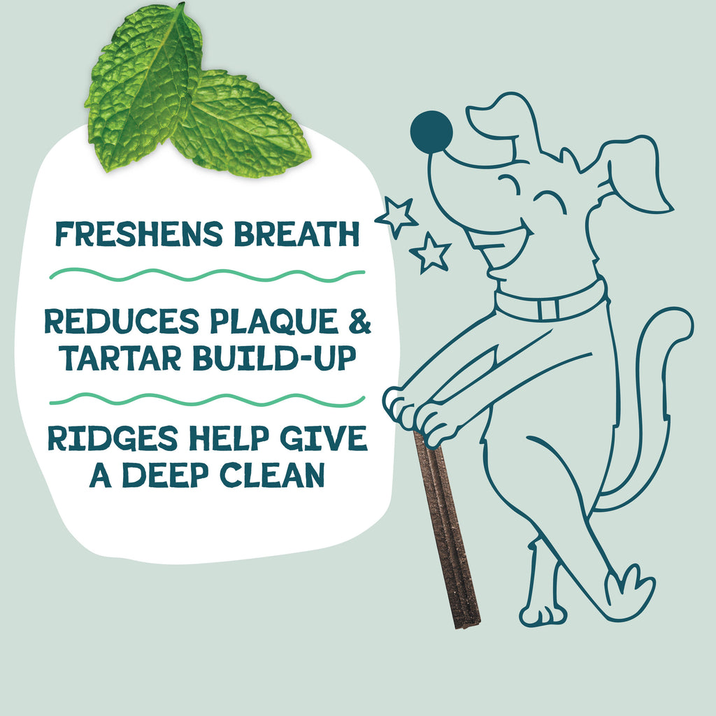Carrate Chomp Dental Sticks Dog Treats