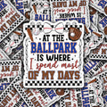 At the ball park sticker