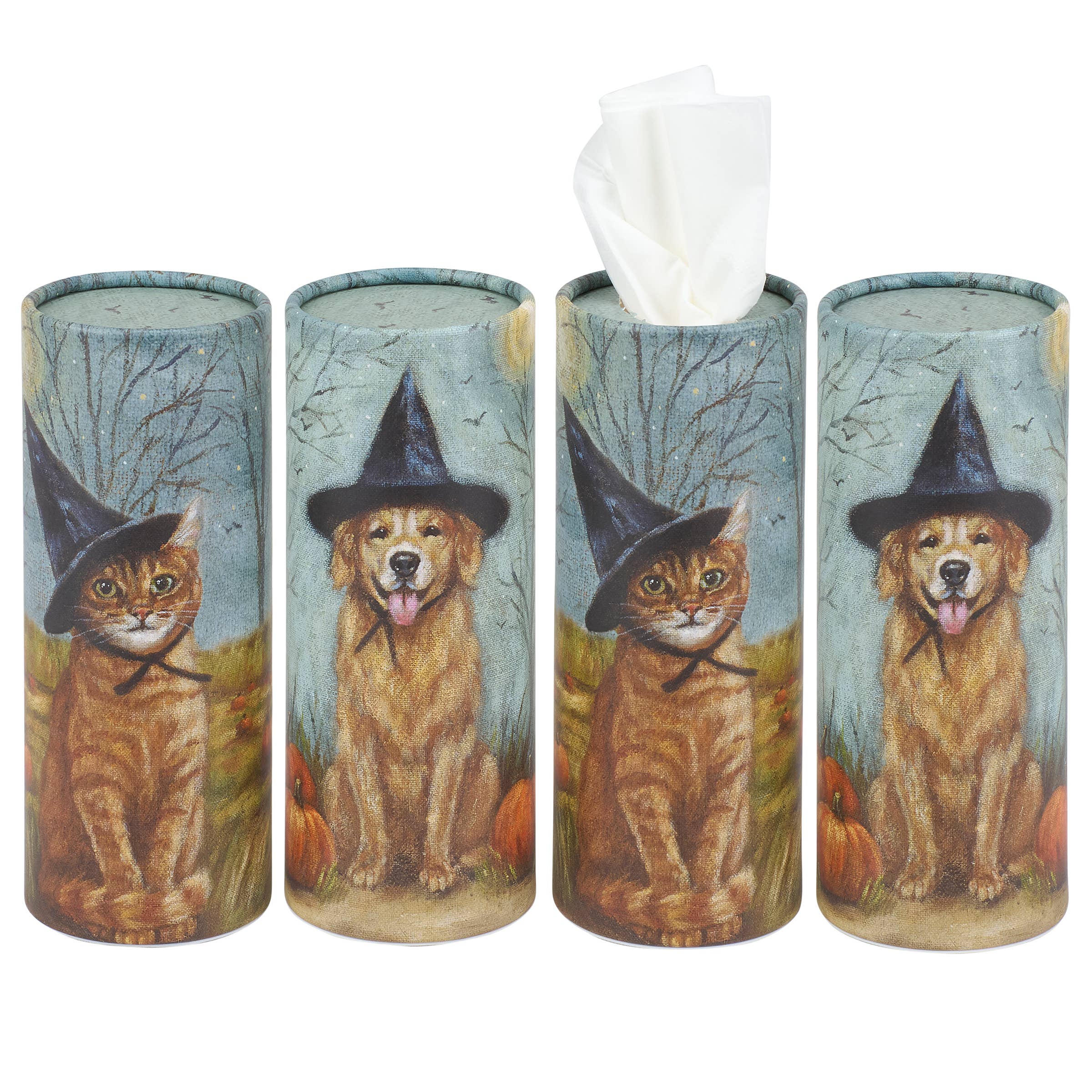 Halloween Pet Tissue Box Set