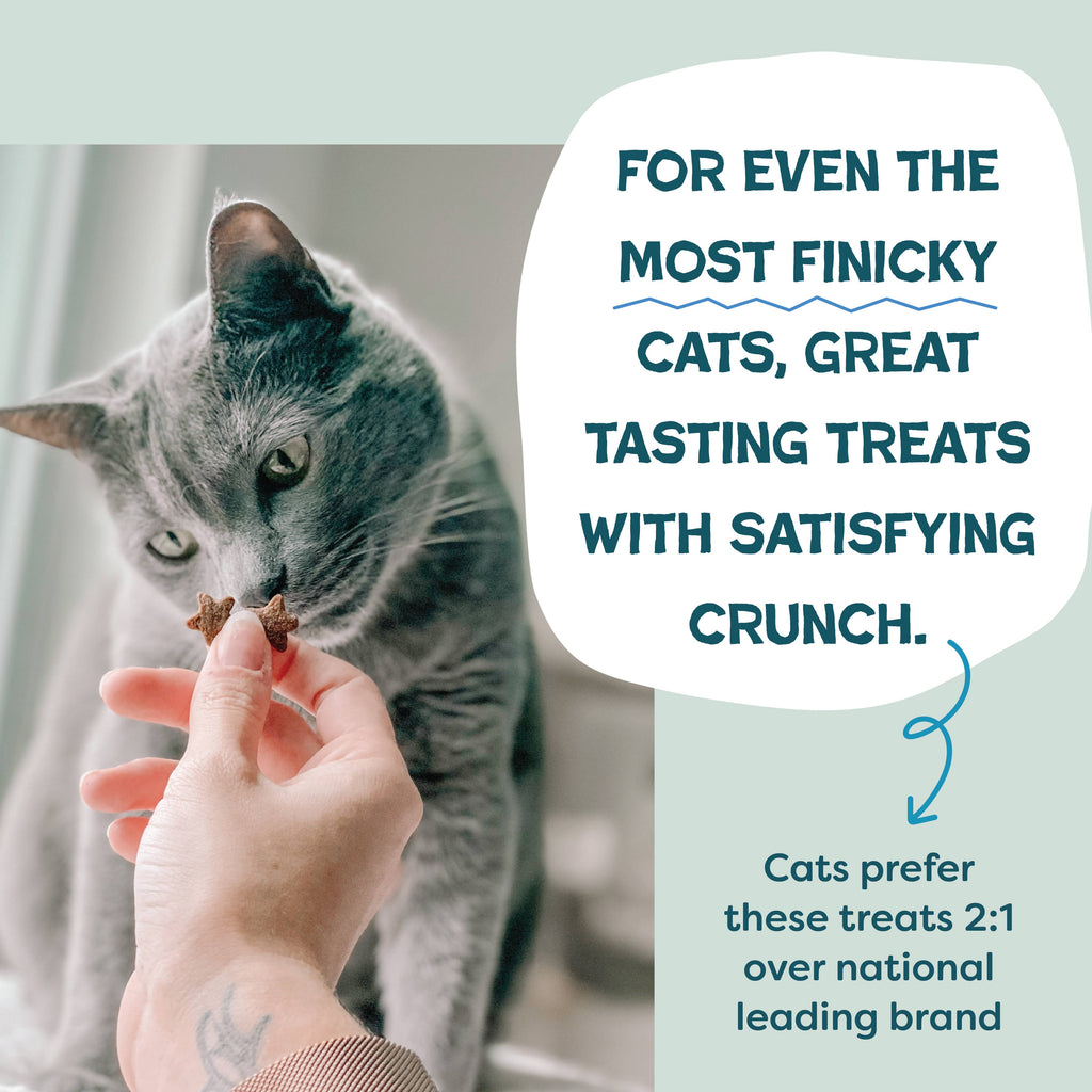 Catnip N Chill Crunchy Cat - Tuna