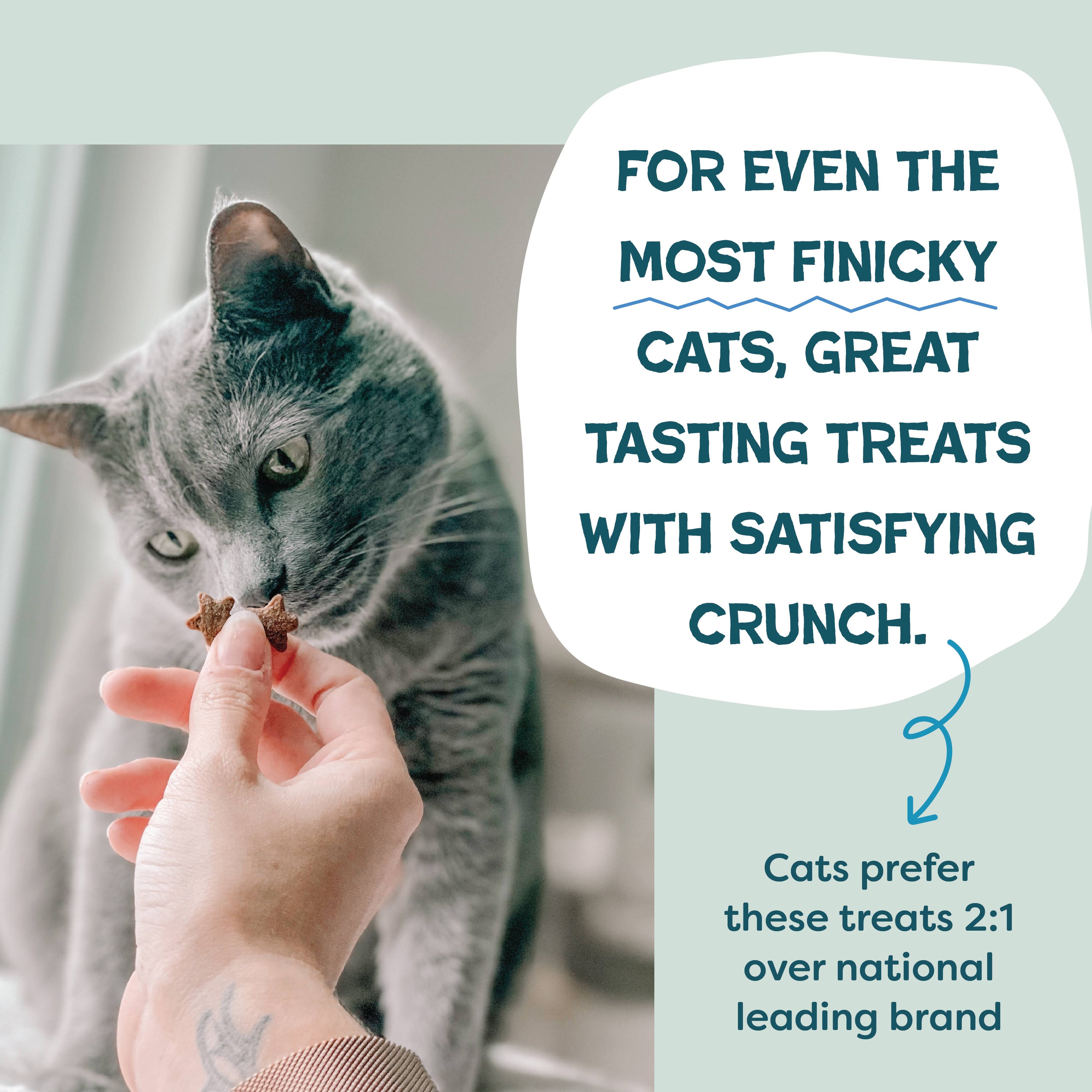 Catnip N Chill Crunchy Cat - Tuna